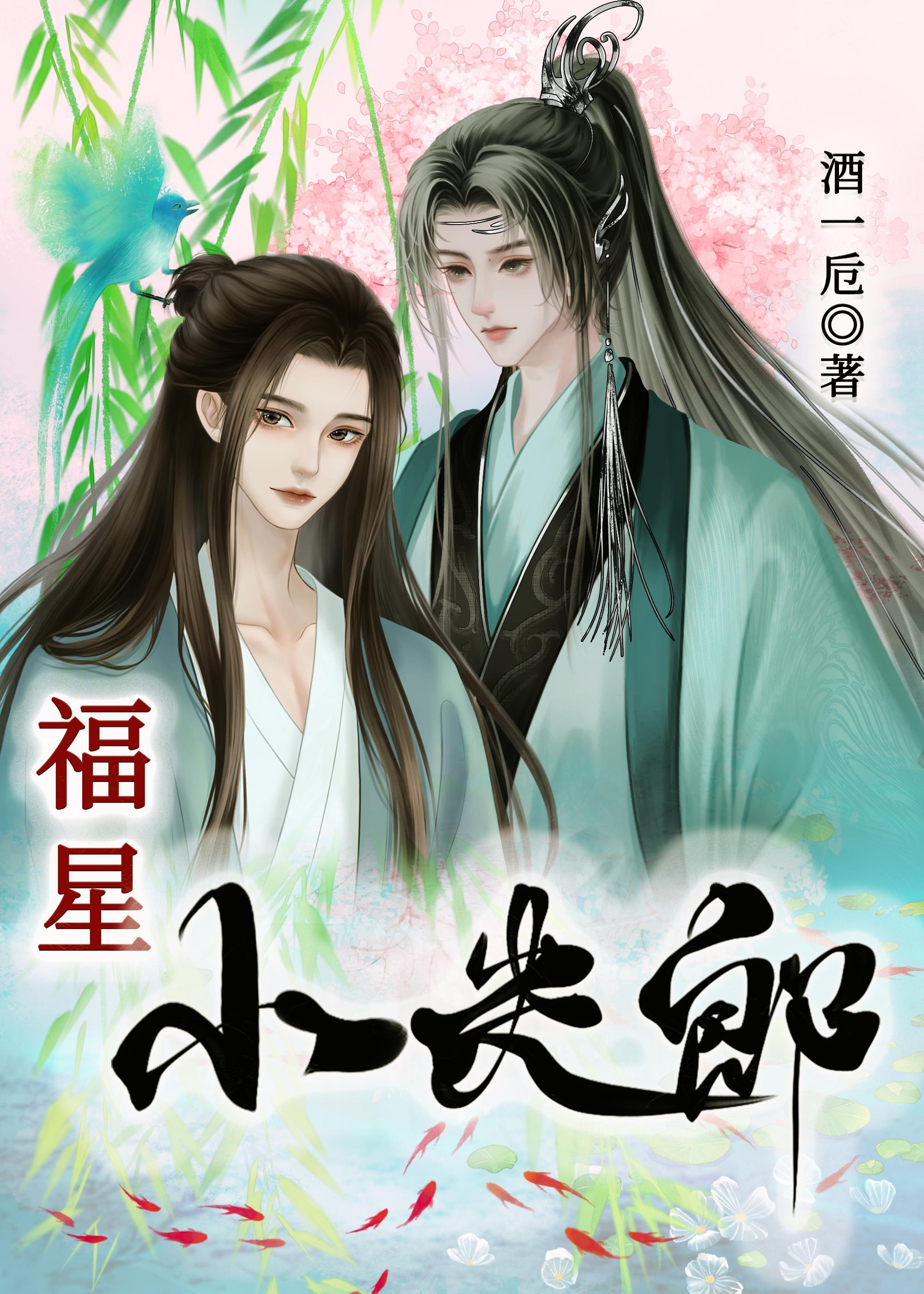 福星小夫郎封面