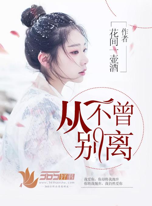 从不曾别离封面
