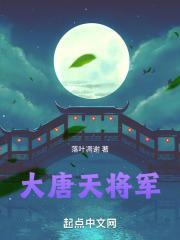 大唐天将军封面