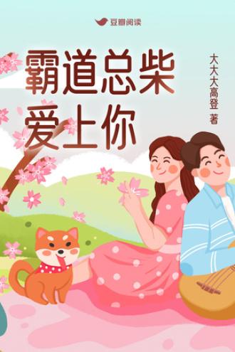 霸道总柴爱上你封面