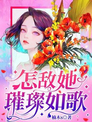 怎敌她璀璨如歌封面