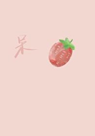 呆呆封面