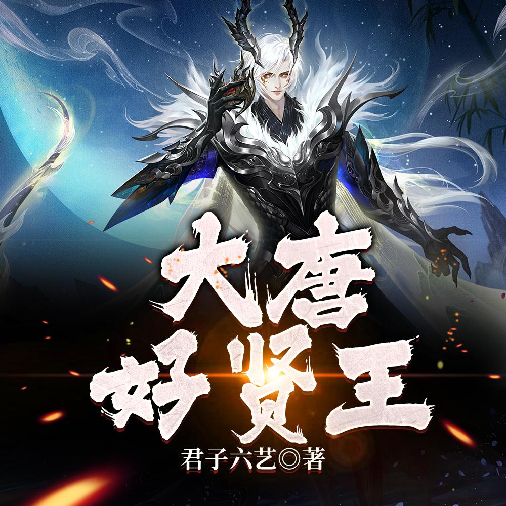 大唐好贤王封面