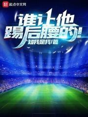 谁让他踢后腰的！封面