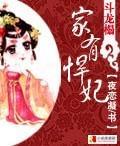 斗龙榻：家有悍妃封面