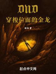 DND：穿梭位面的金龙封面