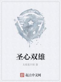 圣心双雄封面