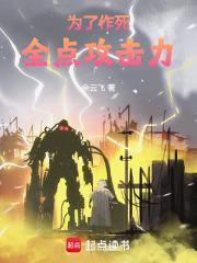 为了作死全点攻击力封面