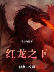 红龙之下封面
