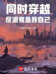 同时穿越：反派竟是我自己封面