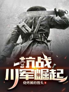 抗战川军崛起封面