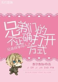 兄弟们的不正确打开方式封面
