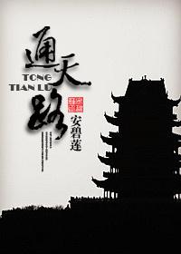 通天路封面