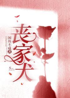 丧家犬封面