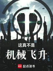 这真不是机械飞升封面