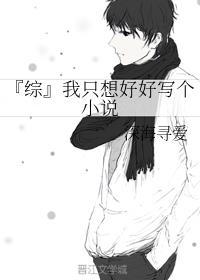 『综』我只想好好写个封面