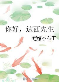 你好，达西先生封面