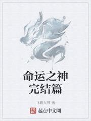命运之神完结篇封面