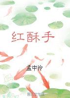 红酥手封面