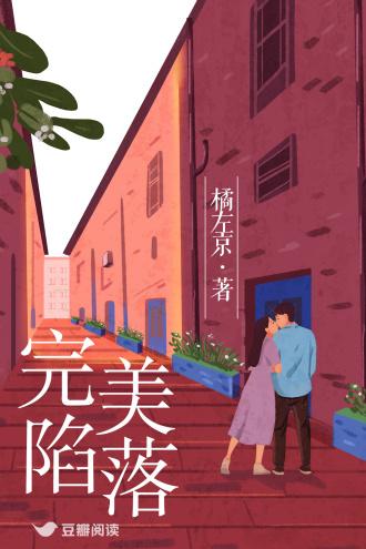 完美陷落封面