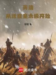 灭清：从活捉皇太极开始封面