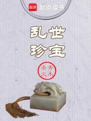 乱世珍宝封面