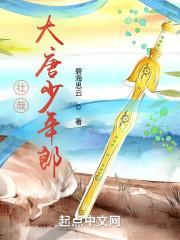 壮哉大唐少年郎封面