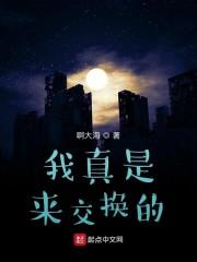 我真是来交换的封面