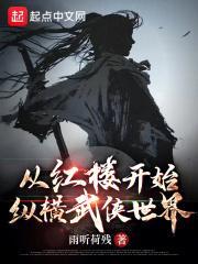 从红楼开始纵横武侠世界封面