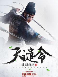 天谴令封面