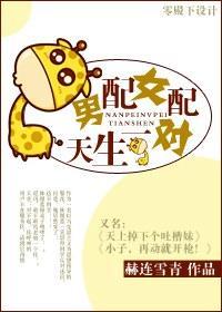 男配女配，天生一对封面