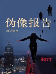 伪像报告封面