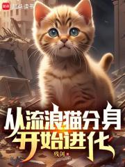从流浪猫分身开始进化封面