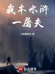 我本水浒一屠夫封面