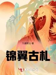 锦翼古札封面