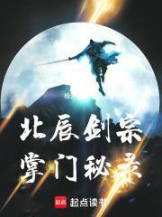北辰剑宗掌门秘录封面