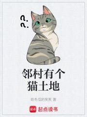 邻村有个猫土地封面