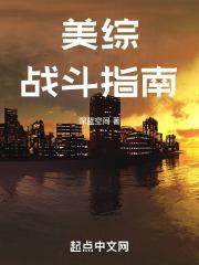 美综战斗指南封面