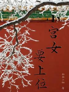 小宫女要上位封面