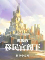 尊敬的移民官阁下封面