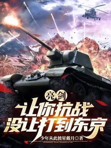亮剑：让你抗战，没让打到东京封面
