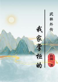 [武林外传]我家掌柜的封面