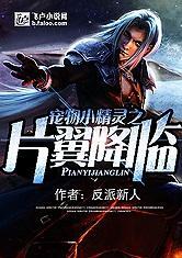 宠物小精灵之片翼降临封面