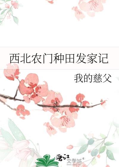 西北农门种田发家记封面