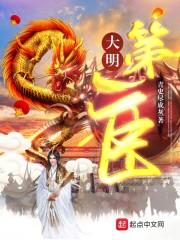 大明第一臣封面