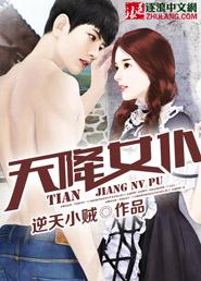 天降女仆封面