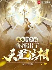 说好的练武，你练出了天罡法相？封面