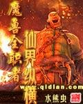 魔兽全职者仙界纵横封面