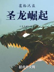 霍格沃兹：圣龙崛起封面