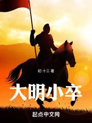 大明小卒封面